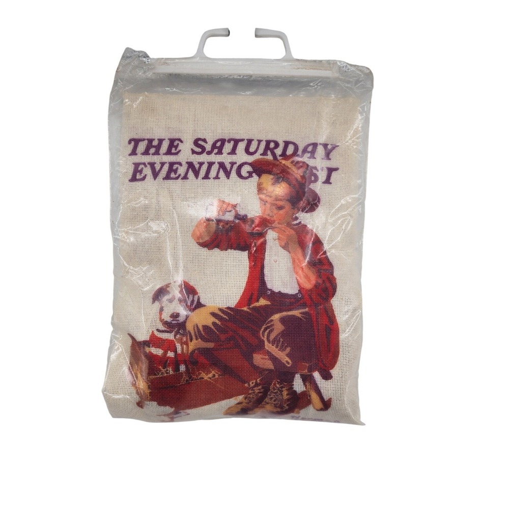 Vintage Saturday Evening Post Norman Rockwell Needlepoint Kit Titillations Boy